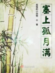 塞上孤月满