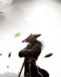武道大魔王