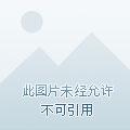 奋斗在美女别墅